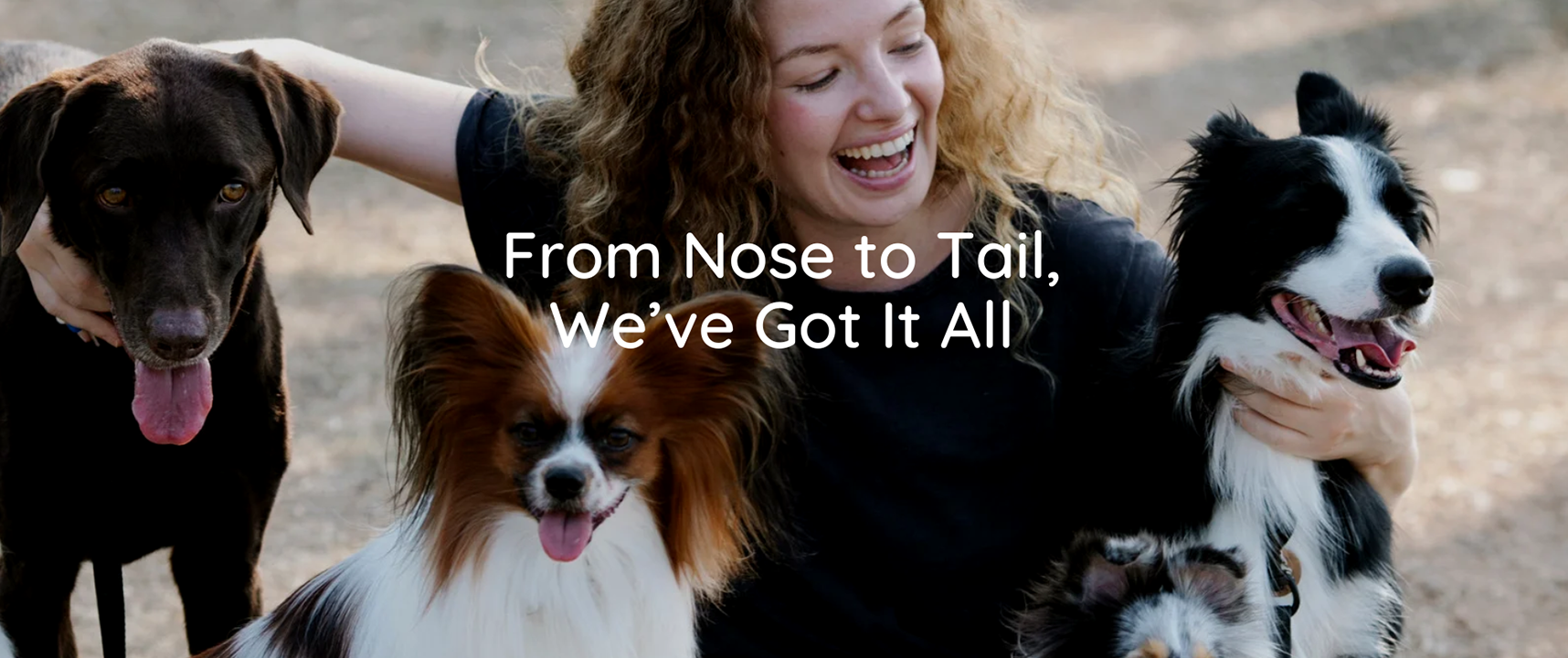 Happy dogs with their owner